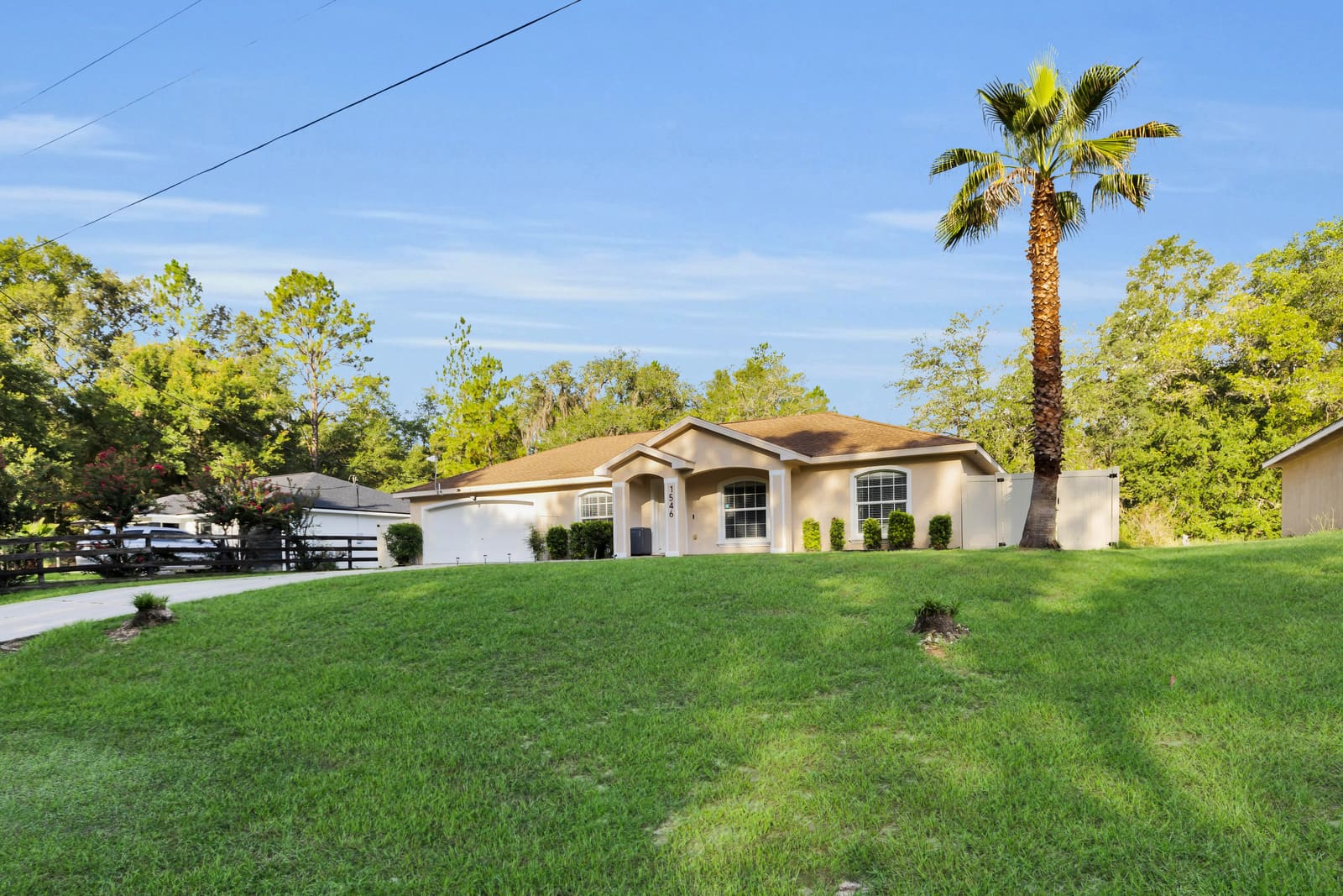 Front of the house with palm trees and lawn